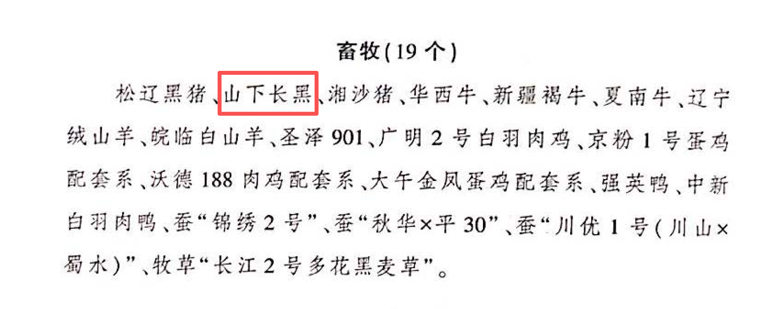 微信图片_20260629084202.png