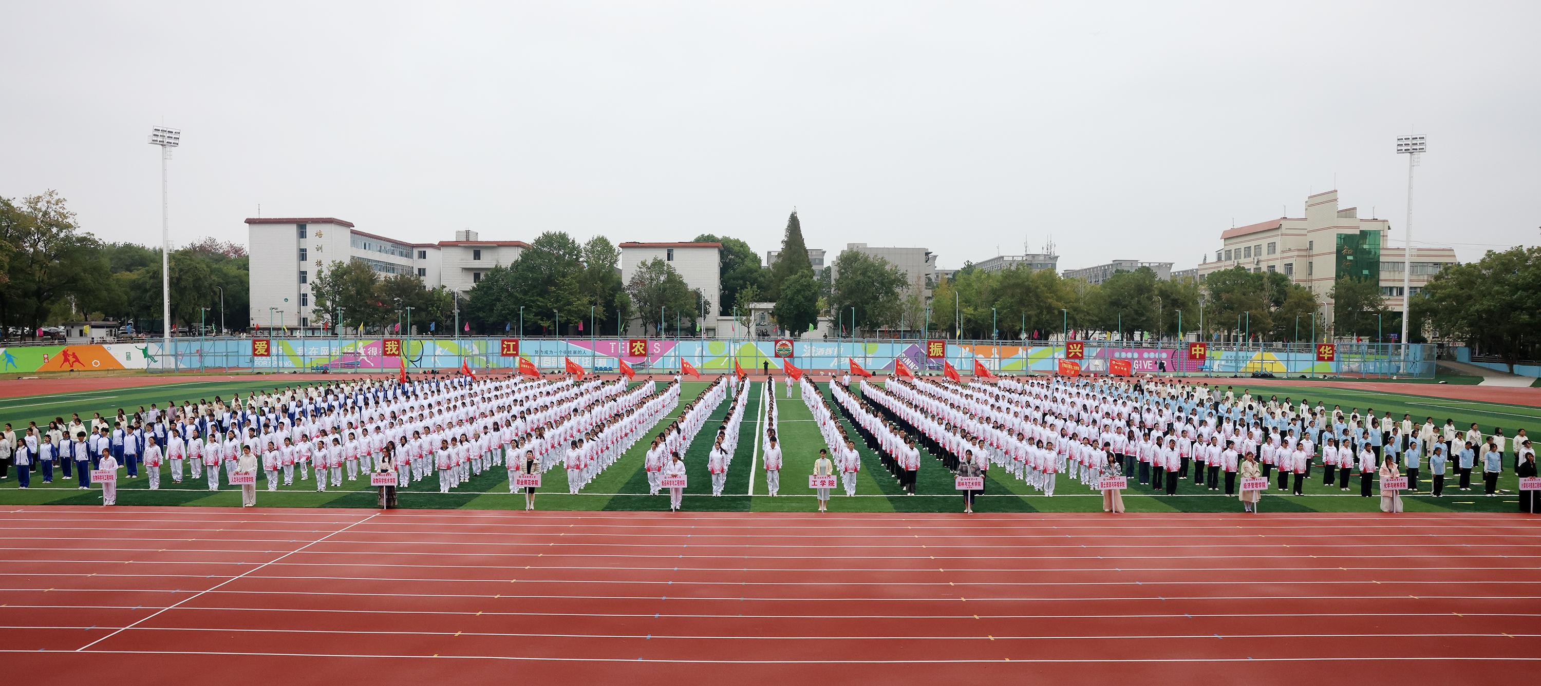 A9541.jpg