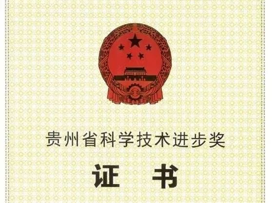 重大突破！！！米乐官网这位老师荣获贵州省科学技术进步奖一等奖